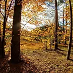 Rzeczna 4 Дом отдыха Tuczno (Walcz)