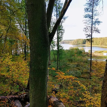 Prázdninový dům Rzeczna 4