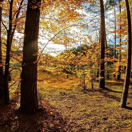 Rzeczna 4 Prázdninový dům Tuczno (Walcz)