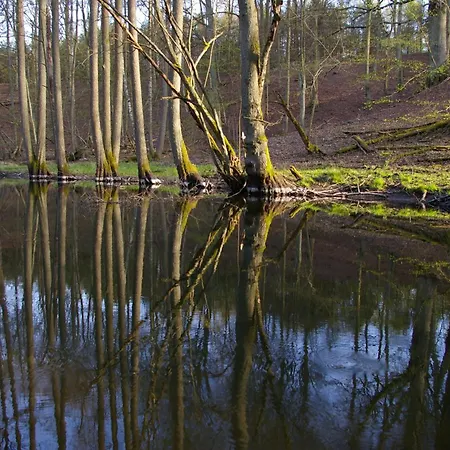 Rzeczna 4 Prázdninový dům *