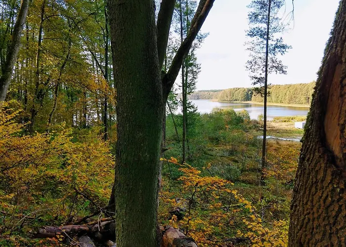 Сasa de vacaciones Rzeczna 4