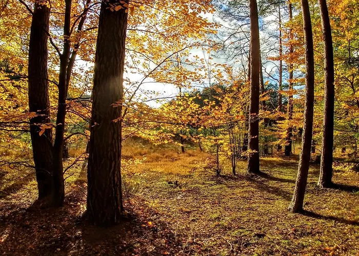 Rzeczna 4 Сasa de vacaciones Tuczno (Walcz)